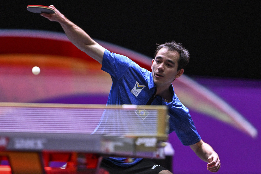 不仅提供顶 不仅提供顶