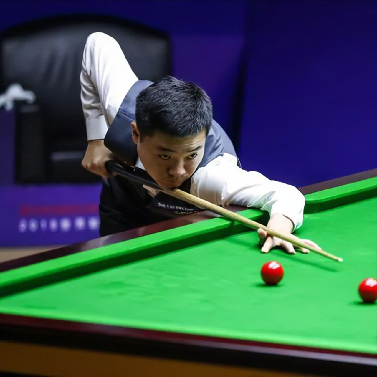 来12个月 来12个月